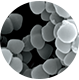 スッキリサポート成分 乳酸菌（EC-12）