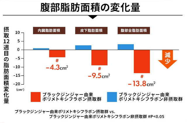 ブラックジンジャーは腹部の脂肪や血中の中性脂肪にも