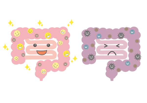 腸内環境をよくするには