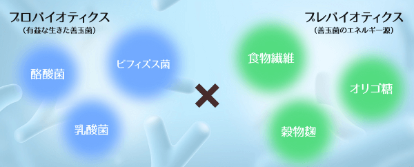 腸内環境を整えるには「善玉菌」と「善玉菌のエサ」の両方を増やすことが重要