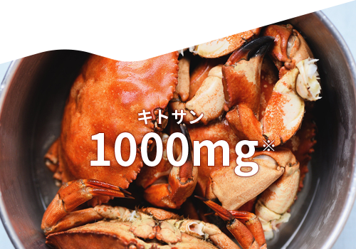 キトサン 1000mg