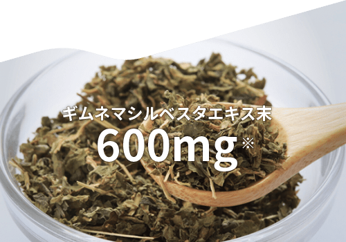 ギムネマシルベスタエキス末 600mg※