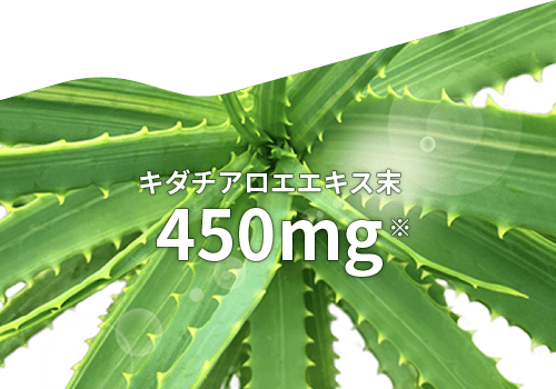 キダチアロエエキス末 450mg※