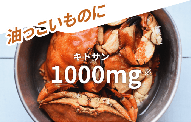 油っこいものに キトサン 1000mg