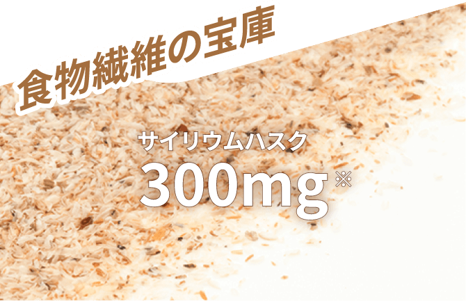 食物繊維の宝庫 サイリウムハスク 300mg※