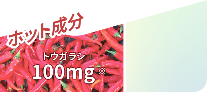 ホット成分 トウガラシ 100mg※