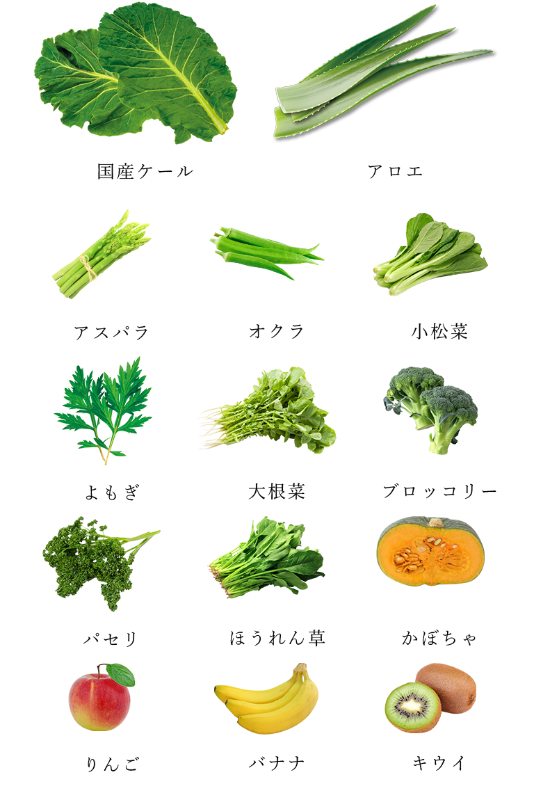 国産ケール、アロエ果汁ほか14種類の野菜と果実
