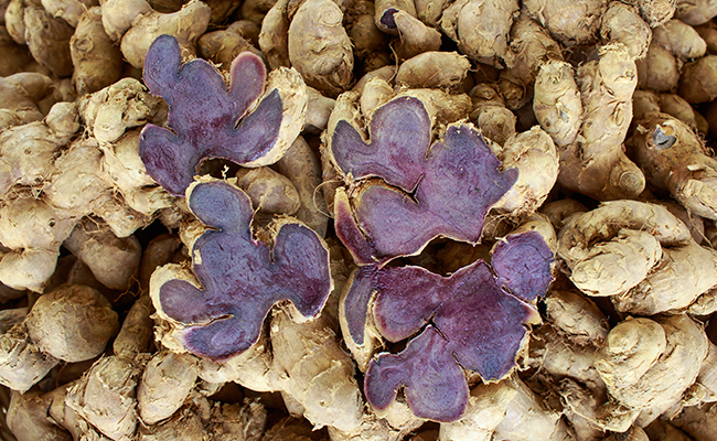 ブラックジンジャー