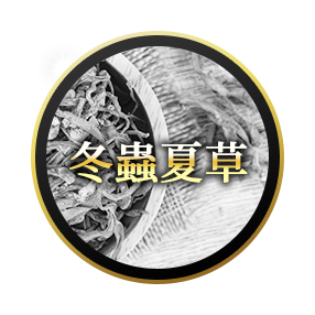 極濃マカ皇帝倫液 冬蟲夏草