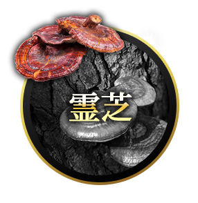 極濃マカ皇帝倫液 霊芝