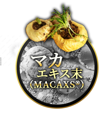極濃マカ皇帝倫液 マカエキス末 MACAXS