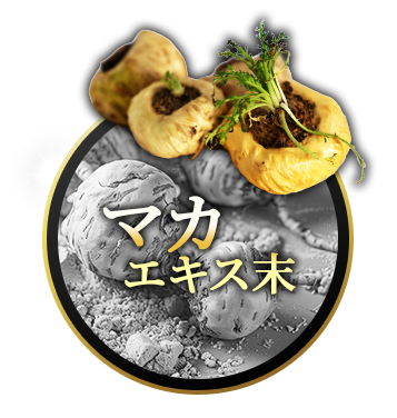 極濃マカ皇帝倫粒 マカエキス末