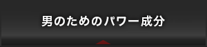 男のためのパワー成分