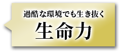 過酷な環境でも生き抜く生命力