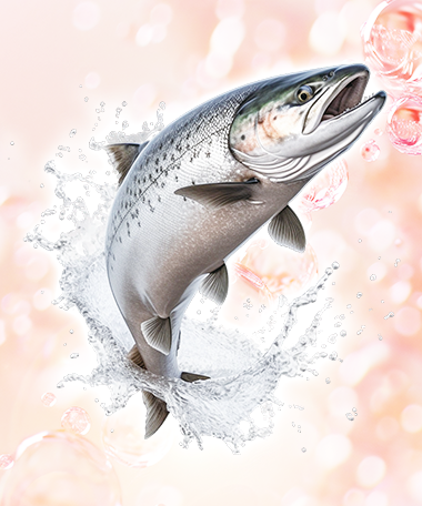 プロテオグリカン(サケ鼻軟骨抽出物)