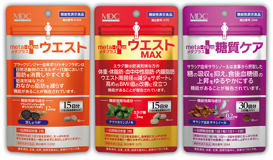 メタプラス | 株式会社メタボリック