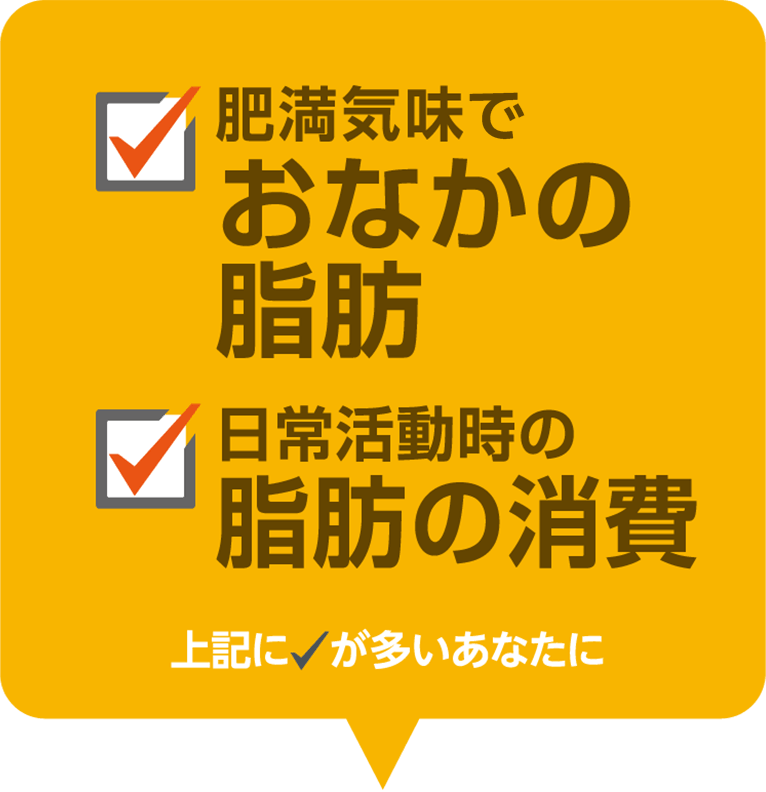 肥満気味でおなかの脂肪が気になる