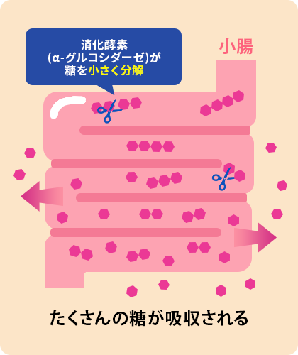 メタプラス 糖質ケア 機能性関与成分 サラシア由来サラシノール メタプラス 糖質ケア 機能性関与成分 サラシア由来サラシノール