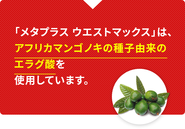 エラグ酸を12週間摂取することで、内臓脂肪が4.3㎠、皮下脂肪9.5㎠減少しました