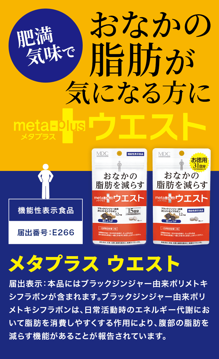 メタプラス ウエスト