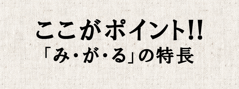 ここがポイント!! 「み・が・る（みがる）」の特長