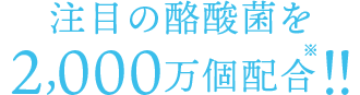 注目の酪酸菌を2,000万個配合！！