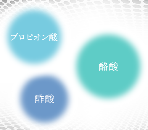 腸内フローラのカギとなる成分が”短鎖脂肪酸”。