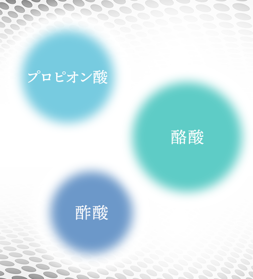 腸内フローラのカギとなる成分が”短鎖脂肪酸”。