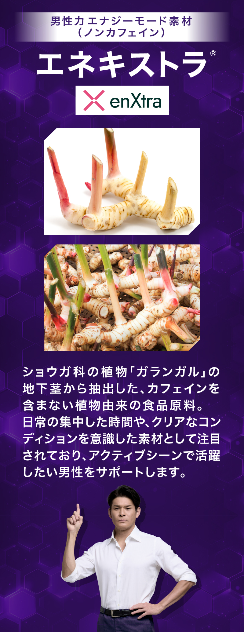 エネキストラ