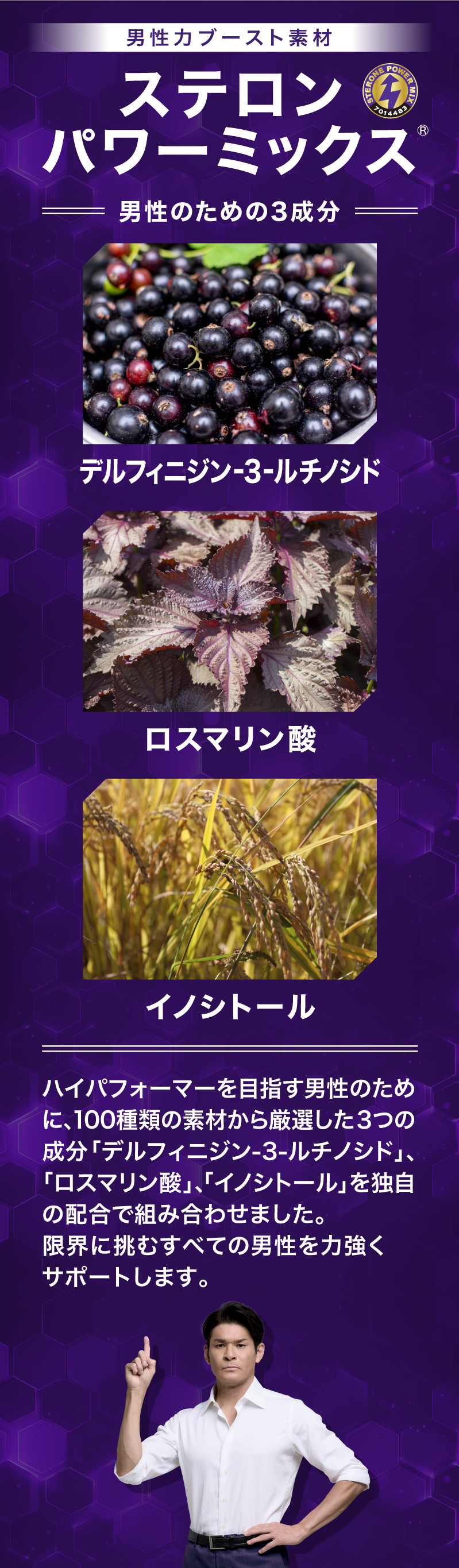 ステロンパワーミックス
