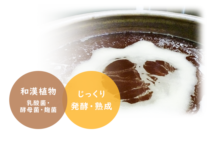 栄養補給成分 200種類以上の和漢発酵エキス