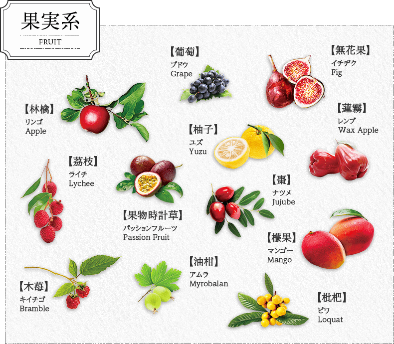 果実系 FRUIT