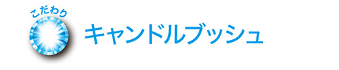 イーストエンザイムゼリーのこだわり キャンドルブッシュ配合