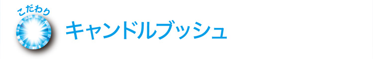 イーストエンザイムゼリーのこだわり キャンドルブッシュ配合