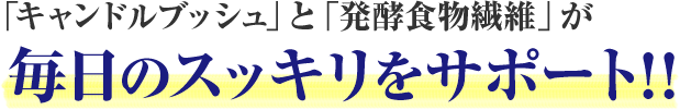 「キャンドルブッシュ」と「発酵食物繊維」が毎日のスッキリをサポート！！