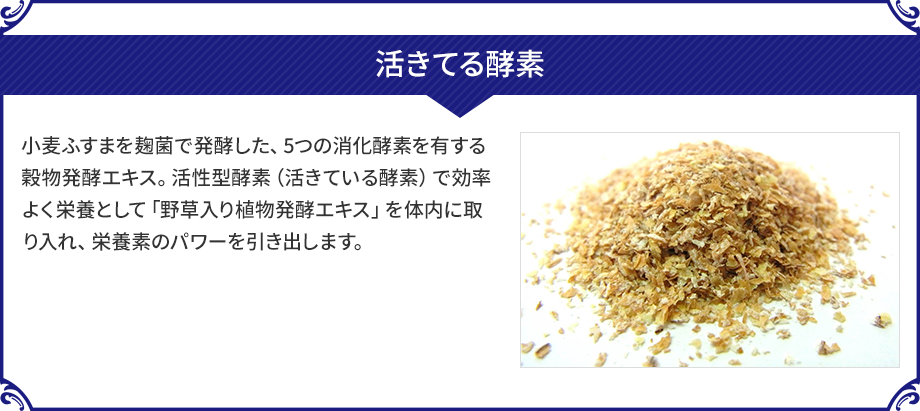 活きてる酵素　小麦ふすまを麹菌で発酵した、5つの消化酵素を有する穀物発酵エキス。活性型酵素（活きている酵素）で効率よく栄養として「野草入り植物発酵エキス」を体内に取り入れ、栄養素のパワーを引き出します。