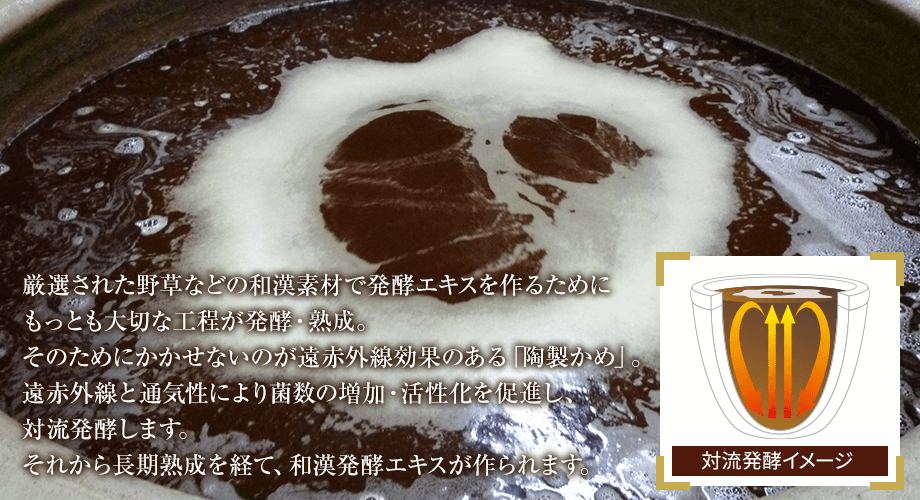 厳選された野草などの和漢素材で発行エキスを作るためにもっとも大切な工程が発酵・熟成。そのためにかかせないのが遠赤外線効果のある「陶製かめ」。遠赤外線と通気性により菌数の増加・活性化を促進し、対流発酵します。それから長期熟成を経て、和漢発酵エキスが作られます。